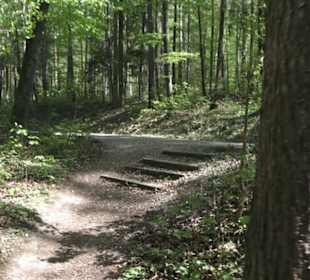 Wanderweg Hochgehwachsen