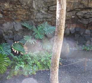 Impression der Fundacion