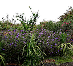 Botanischer Garten Viveiro