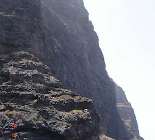 Los Gigantes