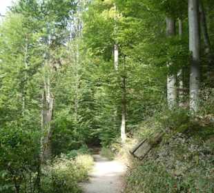 Wanderung zu wilden Bächen und hohen Wasserfällen
