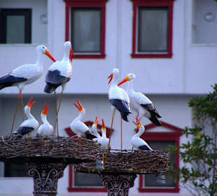 Aufgenommen vom 25.-29.11. Neu