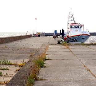Apollo Tagestour zur Greifswalder Oie 
