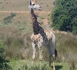 So schön und so nah