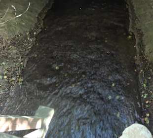 Baumlehrpfad Zollertal