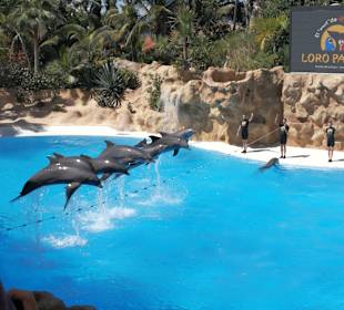 Loro Parque 