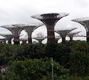 Gardens by the Bay