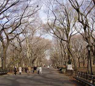 Central Park (1)