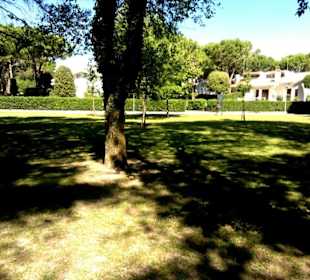 Sportzentrum Beverly Hill