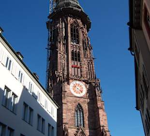 Katedra we Freiburgu