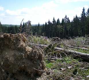 Gegensätze
