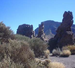 Teide