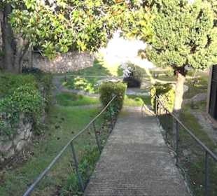 Aussenbereich - Felsengarten