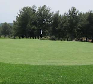 Gut gepflegte Anlage