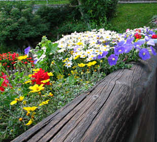 Die blumenreiche Terrasse