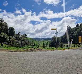 Forgotten World Highway