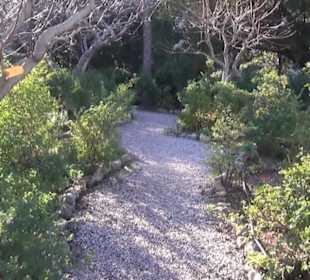 Garten + Kreuzgang hl. Margerite