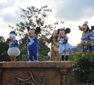 Candleabration - Die Abendshow im Disneyland Park