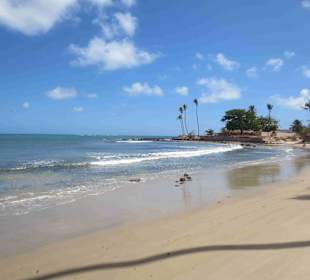 Strand an den Dünen
