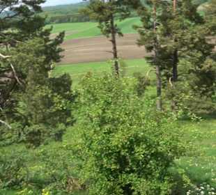 Berg Kornbühl Salmendingen
