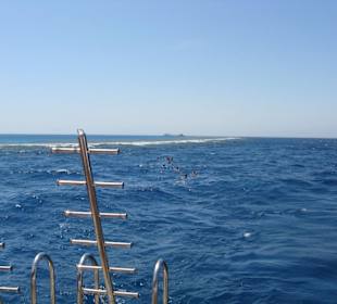 Schnorcheln auf dem Weg zum Riff