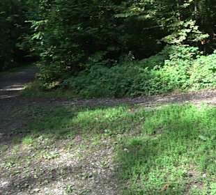 Sophienbrunnen von 1839 