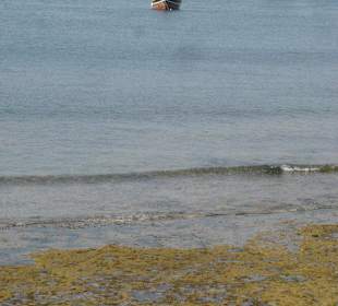 Das große Schiff