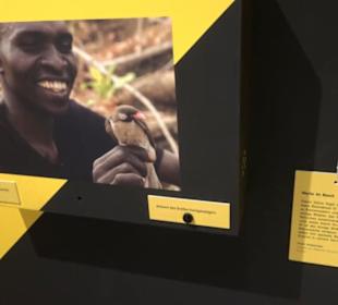 Museum Natur und Mensch