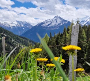 Wandern Bramberg am Wildkogel