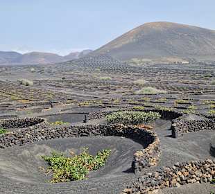 Wandern Puerto del Carmen