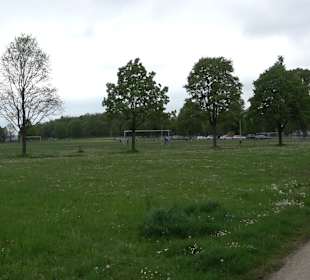Sportclub Giengen