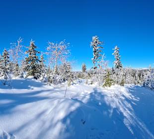 Wandern Arbergebiet