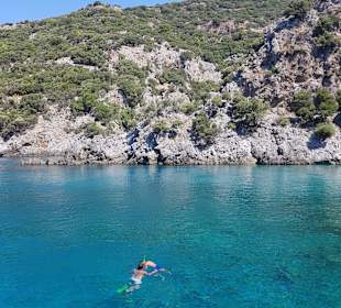 Buchtenfahrten Ausflug