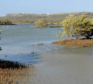 Blick über die Saline Sint Marie