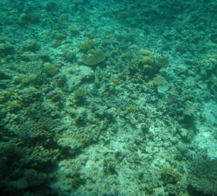 Ausflug halbes U-Boot