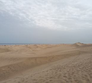 Dünen von Maspalomas