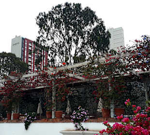 Museum Larco Restaurant