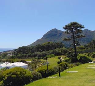 Cape Point Vineyards in Noordhoek