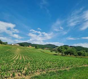Wandern Bad Gleichenberg
