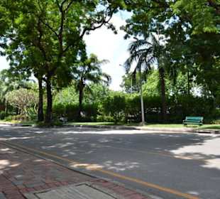 Lumphini Park