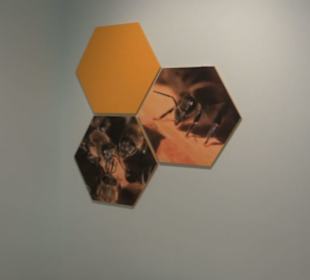 Museum für Naturkunde