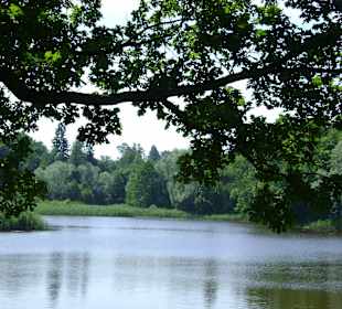 Zespół pałacowy Oranienbaum