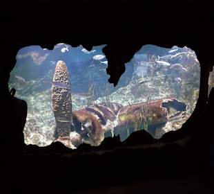 National Aquarium Malta