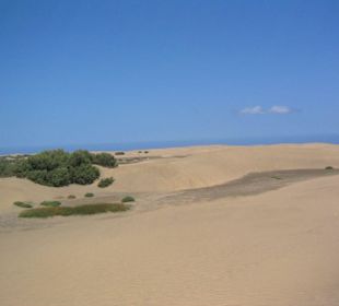 Dünen von Maspalomas