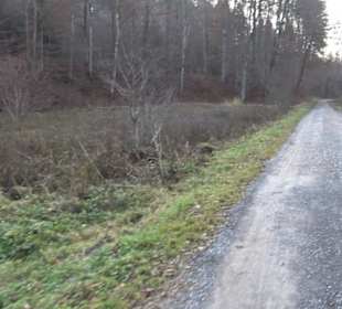 Schönbuch Schaichtal