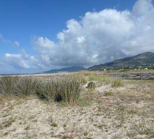 Bei Tarifa