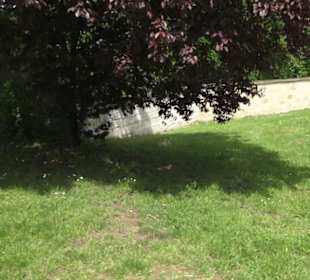 Benediktinerkloster Lorch