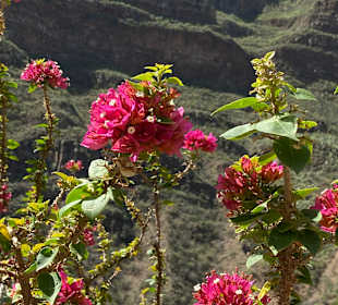 Höhlenwohnungen Acusa