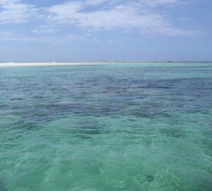 Ausflug Glasbodenboot Diani Beach