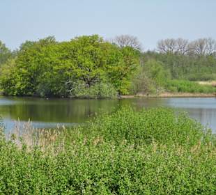 Rundgang durch das Naturschutzgebiet Riddagshausen